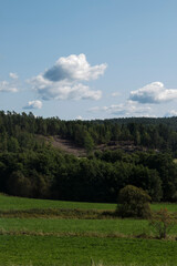 landscape with trees and clouds