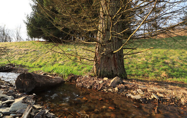 Brook Binnbach in Kadenbach, Germany