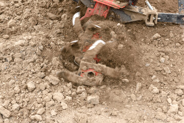 Small farm tractor plows the ground, the work of a walk-behind tractor