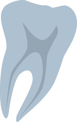 Tooth X Ray Illustration