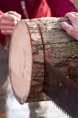 sawing logs with a hand saw close-up