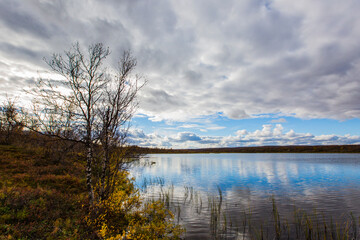 Fototapeta premium Autumn landscape in tundra, northern Norway. Europe