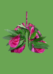  lungs with fresh green leaves as symbol of healthy lungs on green backround. World Tuberculosis...