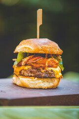 Hamburgers and fries handmade burgers