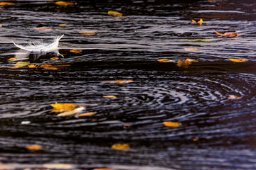 Autumn river in Muonio, Lapland, northern Finland
