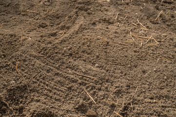 畑起こし　鶏糞をまいて整えた畑