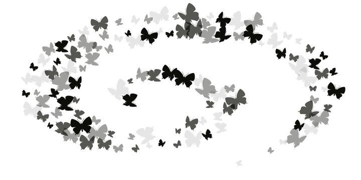 Fairy black butterflies cartoon vector background. Summer colorful insects. Detailed butterflies cartoon baby wallpaper. Sensitive wings moths patten. Fragile creatures.