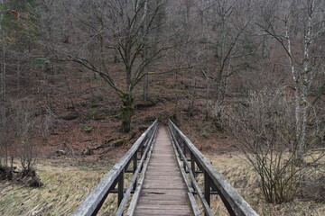 Wooden bridge over river in autumn environment.