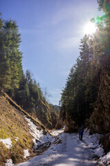 Pieniny National Park in Carpathian Mountains, Poland - 03.27.2022 - Sunny day with nice view on...
