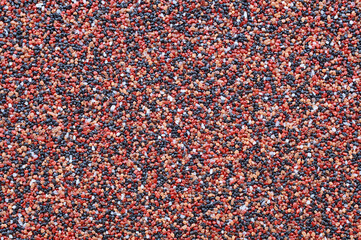 The surface of rough decorative sand-colored plaster