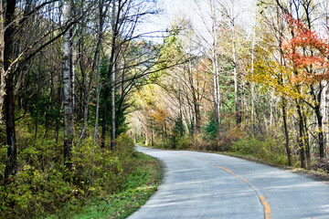 Curved road with trees and grass on roadside