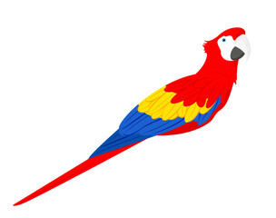 Red, yellow and blue macaw isolated on white background. Colorful Macaw Parrot. Mascot vector illustration. The scarlet macaw, Ara macao