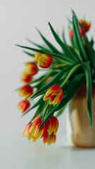 Bouquet of red and yellow tulips in a vase
