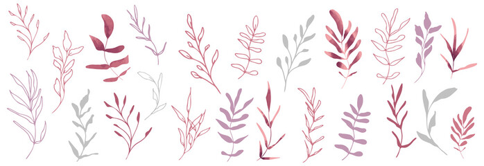 Hand drawn colorful plant set modern and universally usable. Flower branch and minimalistic plants. Hand drawn lines, elegant leaves for your own design. Botanical, chic and trendy plants.