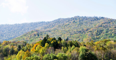 Fototapeta na wymiar Autumn colorful mountain in China