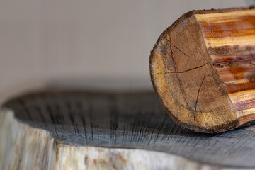 close up of apple tree firewood on tree stump