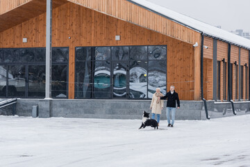 Mature man in winter outfit playing with border collie near wife and building on urban street.