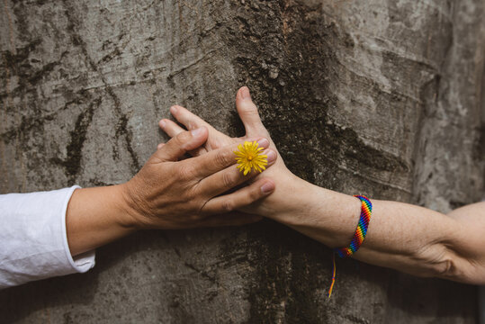 hand of LGBT women holding together a three with a rainbow bracelet; concept of LGBT pride