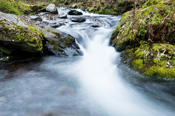 Fototapeta premium Mossy rocks in stream with smooth flowing water