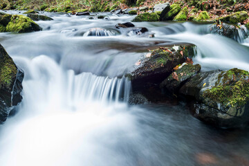 Mossy rocks in stream with smooth flowing water