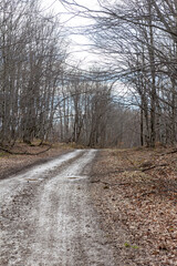 A road in a mountainous area, a winter mountain landscape on a sunny day, ice on shady sections of the roadway without snow cover.