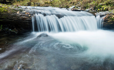 Clear water running on fallen tree