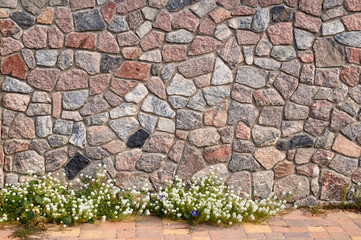 An old handmade stone fence in Swedish counrtyside on Gotland island