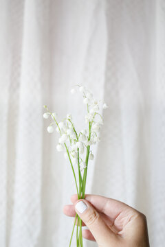 lily of the valley flowers in a hand on a white background. copy space
