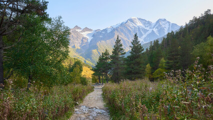Obraz premium A tourist path going through a mountainous area among tall grass and trees. Snow-capped mountains in the background.