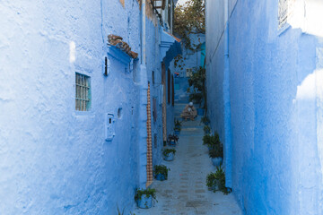 Morocco, Chefchaouen, Narrow alley and traditional blue houses