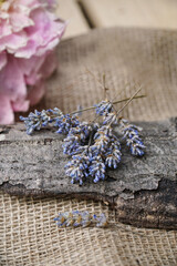         Dry lavender flowers on the wooden background. 