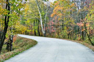 Scenic road through autumn trees