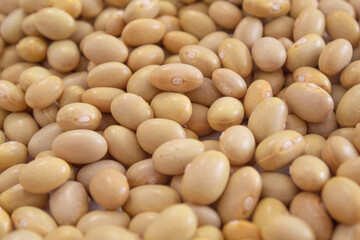 Typical South American beans. Legumes for a healthy diet. Balanced food