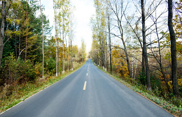 Scenic road through autumn trees