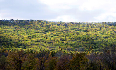 Fototapeta na wymiar Autumn mountain landscape with colorful forest