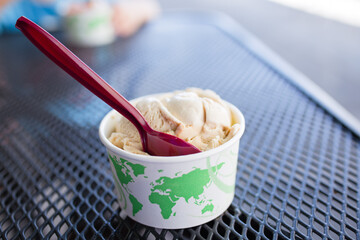 Kid having ice-cream in winter park Florida  stock photo royalty free
