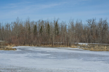 Pylypow Wetlands in Early Spring