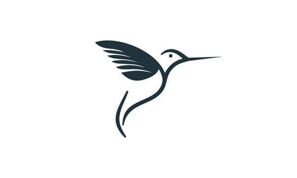 recommend clip art: hummingbird on white background