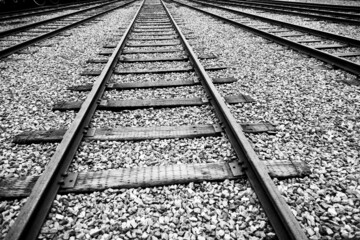 Fototapeta premium Line of railway crossing