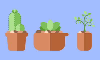 3 vetores de plantas em vasos. Suculenta e cacto.