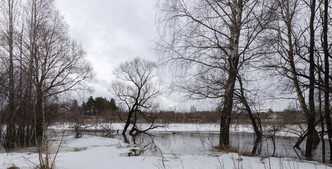 River in flood. Landscape with a river. Trees in the water. Last year's grass on thawed patches. Thaw, melting snow.