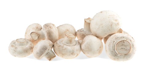 mushrooms isolated on white background