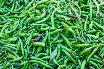 A pile of organic fresh green chili close up top view