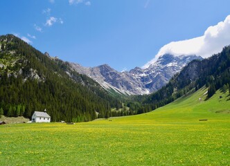 Fototapeta na wymiar Chapel Sankt Rochus and flower meadow in Nenzinger Himmel in spring. Vorarlberg, Austria.