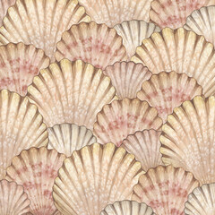 Watercolor background with vintage shell scallop isolated on white background. Marine collection.