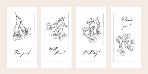 Floral template for design greeting card invitation gift. Outline style flowers jacaranda tree. Black and white sketch. Hand drawn illustration