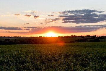 Beautiful sunset in the countryside in Brazil, orange sky, golden light
