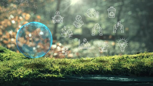 Earth Ecological Green Energy Icons Plexus Concept Moss in Forrest Background