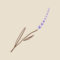Boho minimalistic tiny lavender branch logo or label vector illustration