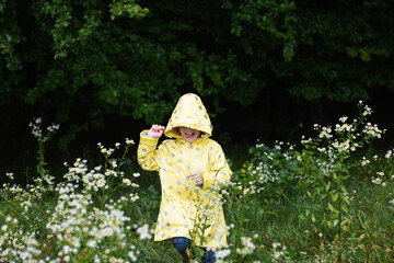 A little girl in a yellow raincoat walks on the edge of the forest